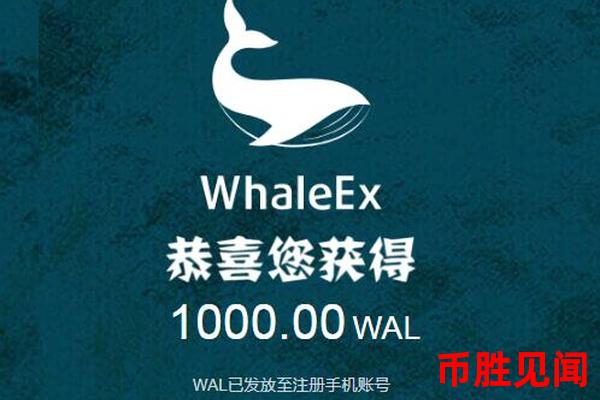如何提升在WhaleEx交易所”的交易体验？有哪些优化建议？