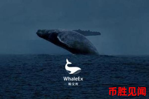 如何保障WhaleEx交易所”的交易安全？安全措施有哪些？
